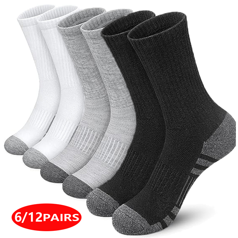 Herren Hochleistungs-Sportsock – Cotton Crew Sock Pack Bewertung und Preis